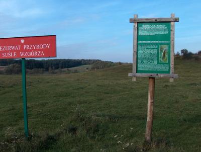 - wal_przyr_1_070830.jpg - wal_przyr_1_070830.jpg