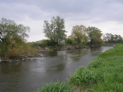 - wal_przyr_4_070830.jpg - wal_przyr_4_070830.jpg