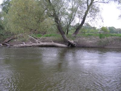 - wal_przyr_5_070830.jpg - wal_przyr_5_070830.jpg