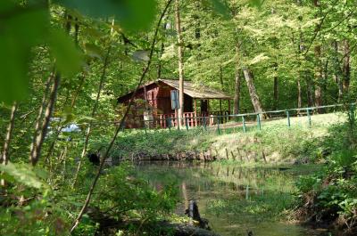 - wal_przyr_6_070830.jpg - wal_przyr_6_070830.jpg