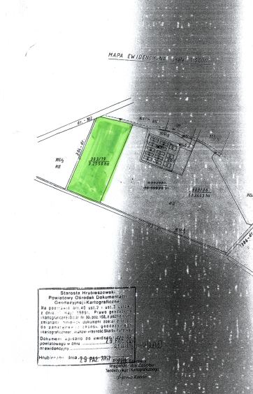 - dzialka_303_19.jpg - dzialka_303_19.jpg